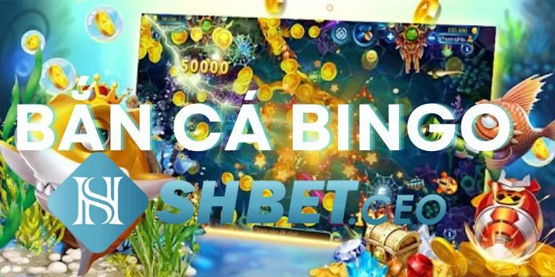 Bí kíp chơi Bắn cá Bingo SHBet rinh thưởng lớn tại SHBet