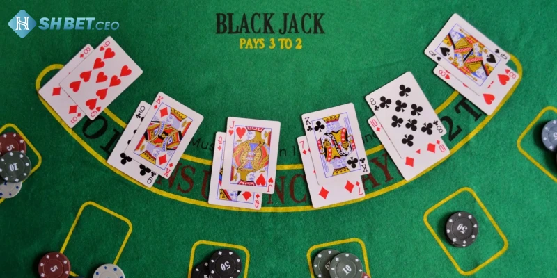 Tại sao nên chọn chơi Blackjack tại SHBET?