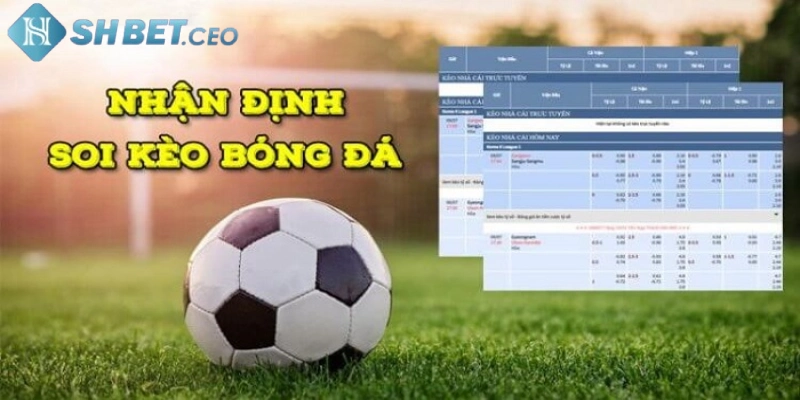 Cách soi kèo bóng đá chính xác nhất cho tân thủ