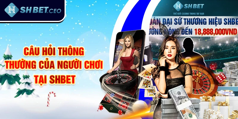 câu hỏi thường gặp 