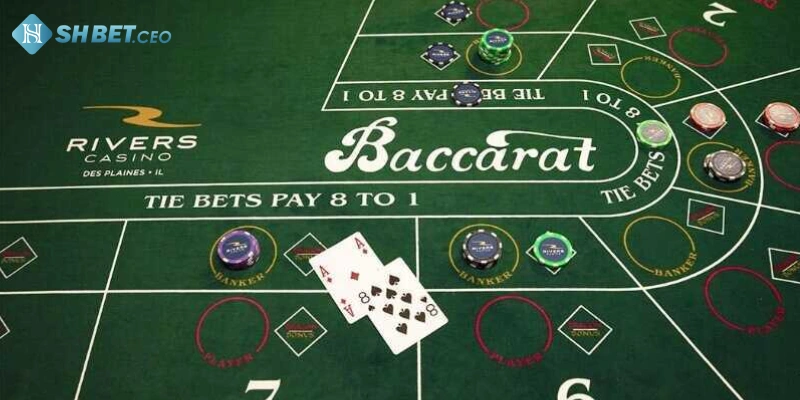 Mẹo chơi Baccarat SHBET hiệu quả