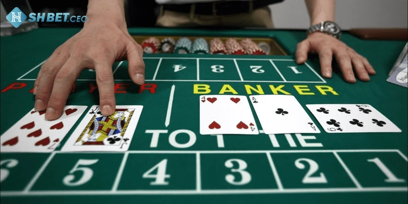 Mẹo chơi Baccarat SHBET hiệu quả